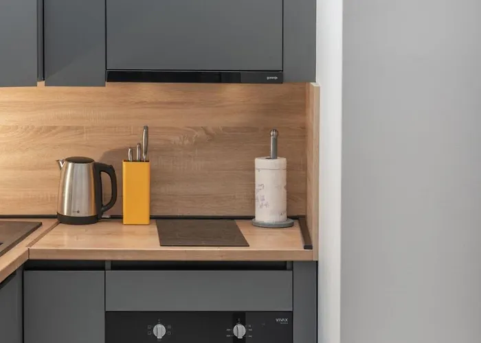 Studio Apartman Modesty